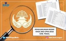 PENGUMUMAN RESMI HASIL SKD CPNS 2018 KAB. TEGAL