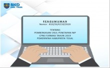 Pengumuman Pemberkasan Usul Penetapan NIP CPNS Formasi Tahun 2019 Pemkab. Tegal